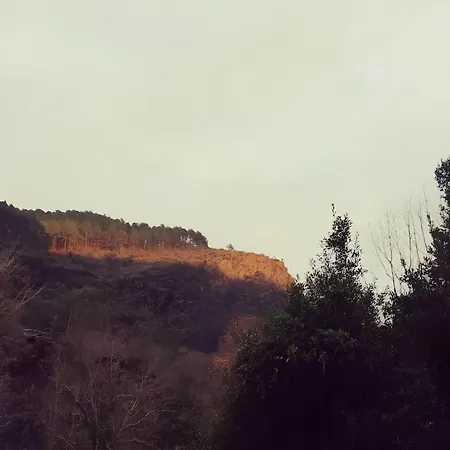 La Franquerie, Calme Et Nature Au Coeur Des Cevennes Nyaraló Saint-Paul-la-Coste