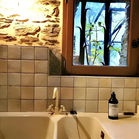 La Franquerie, Calme Et Nature Au Coeur Des Cevennes Saint-Paul-la-Coste
